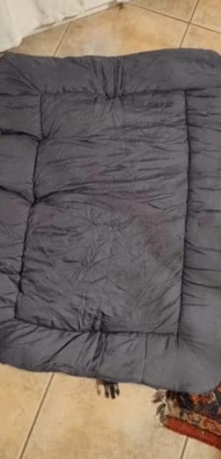 Customer photo review of Reise Nest 2-in-1 Hundebett für unterwegs