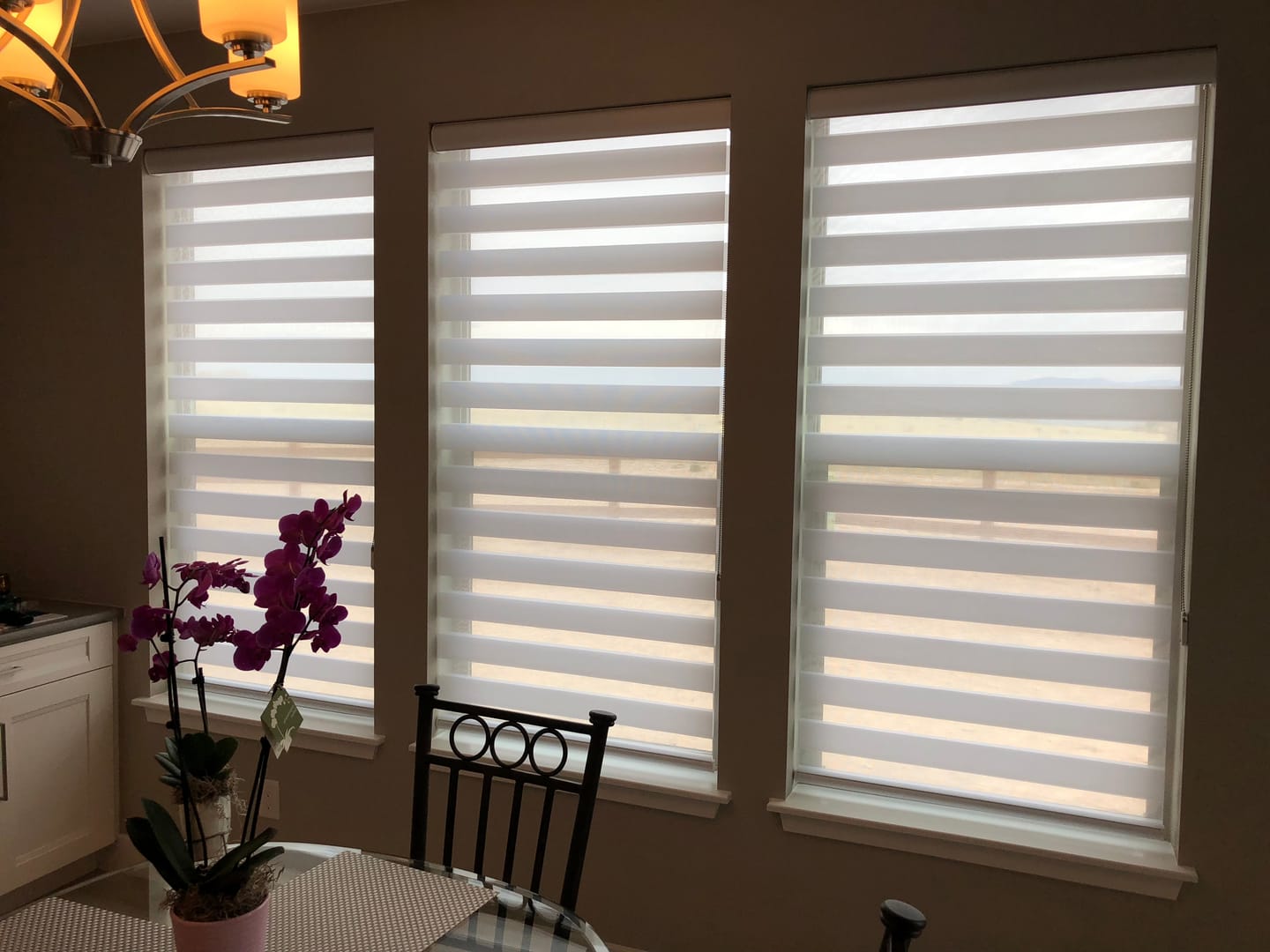 Customer photo review of Zebra Shades