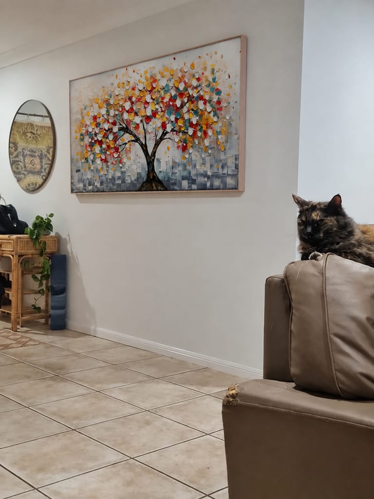 Recensione fotografica del cliente di Colourful Art ZG6R