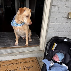 Customer photo review of There's No Place Like Nana's & Papa's House Doormat