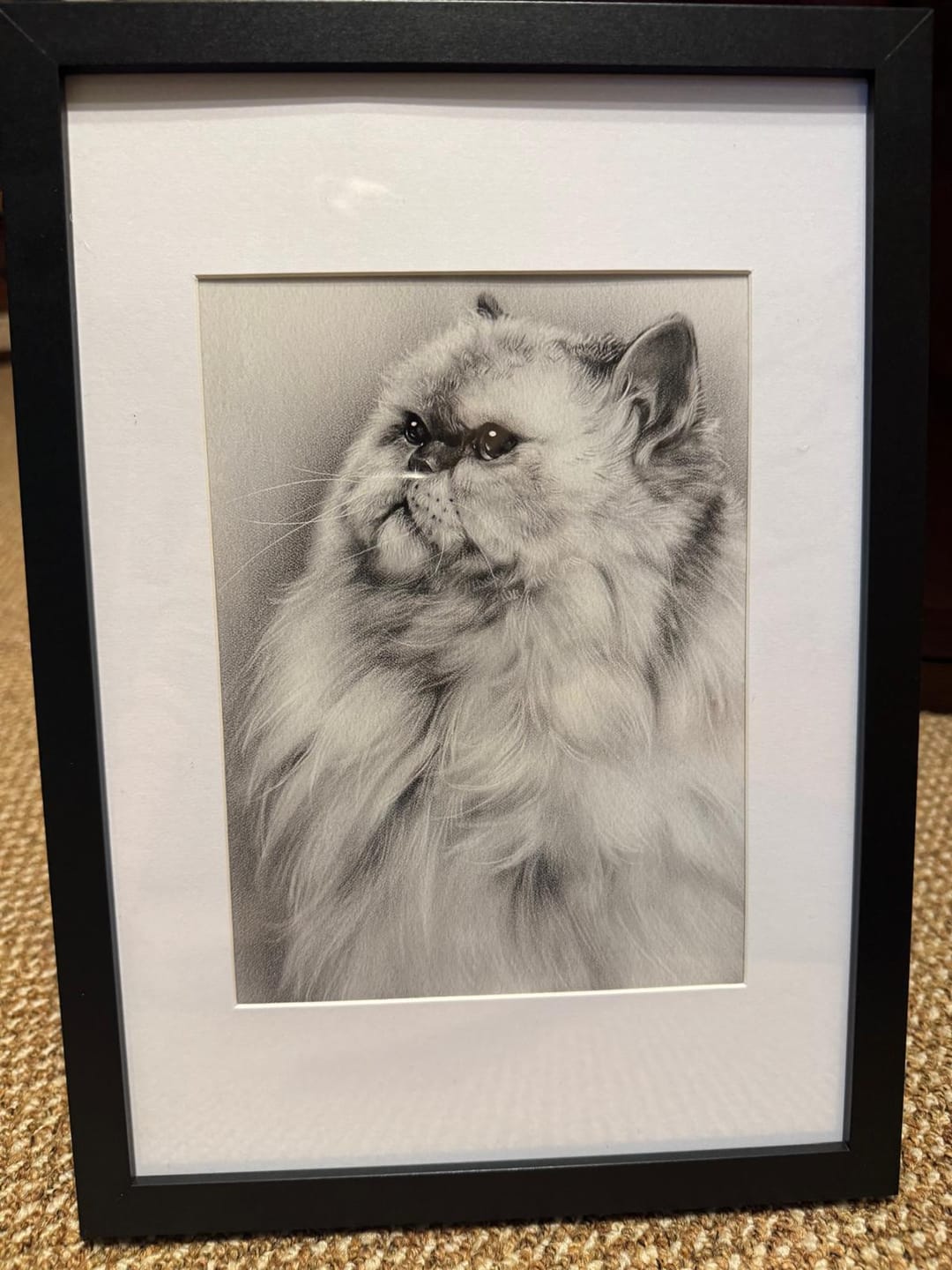 Customer photo review of Katzenportrait zeichnen lassen - handgezeichnet nach Foto
