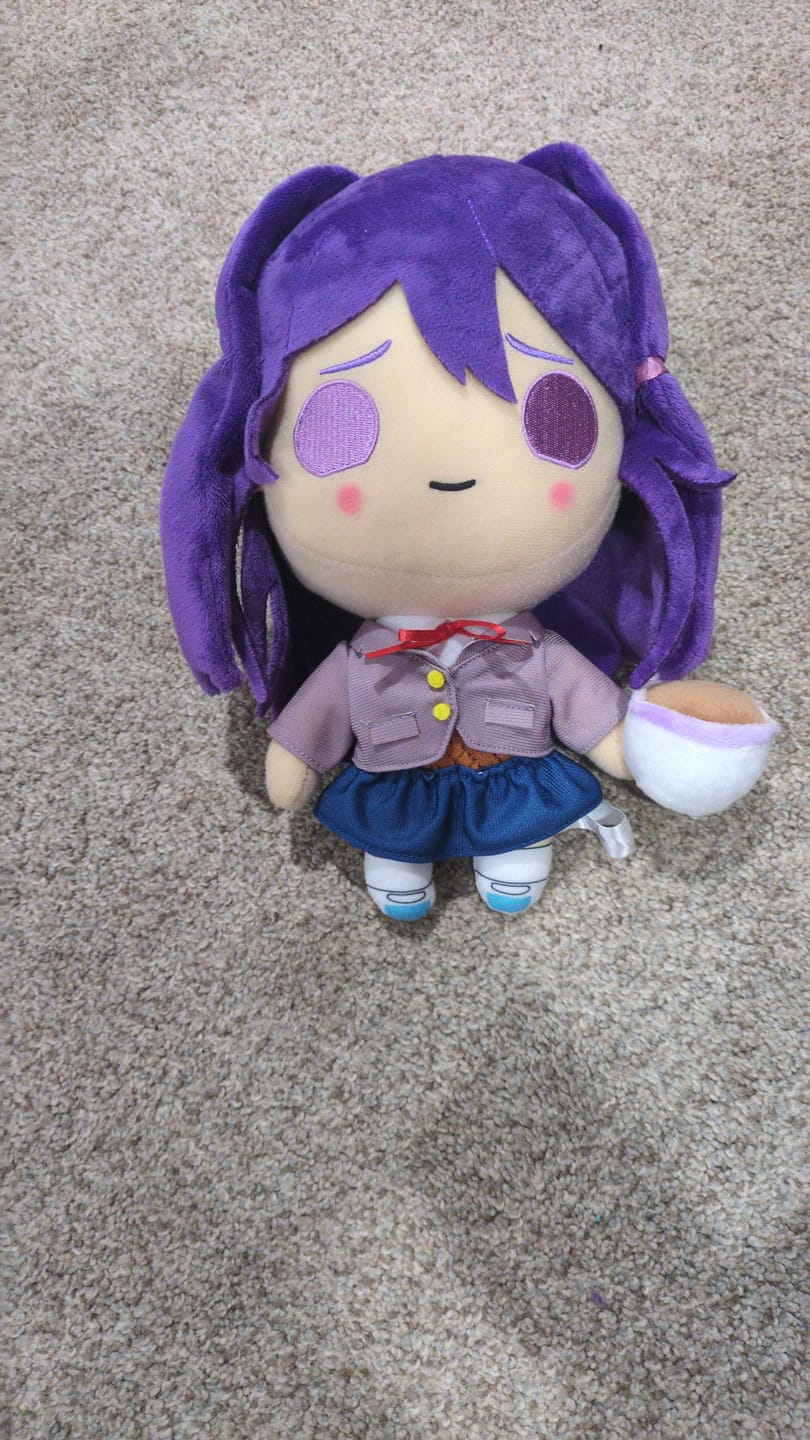Customer photo review of Doki Doki Literature Club - Yuri Collector's Plush