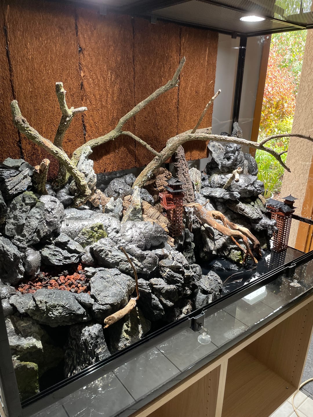 Customer photo review of Terrarium REPTIZOO Démontable et Étanche - 120 x 60 x 90 cm