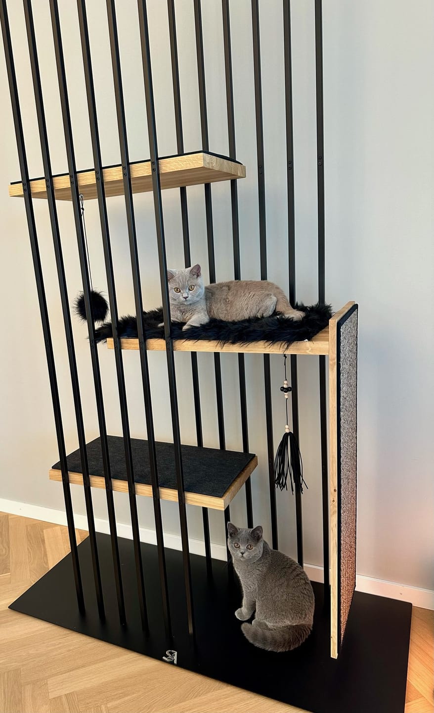 Customer photo review of STYA Katzen Kratzbaum MS210