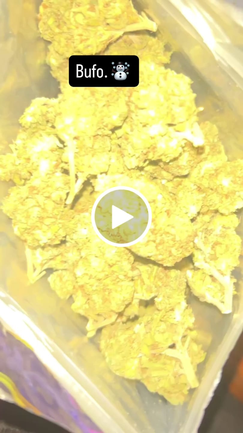 Customer video review of Toad Crossing THCA Flower - Cheap Oz