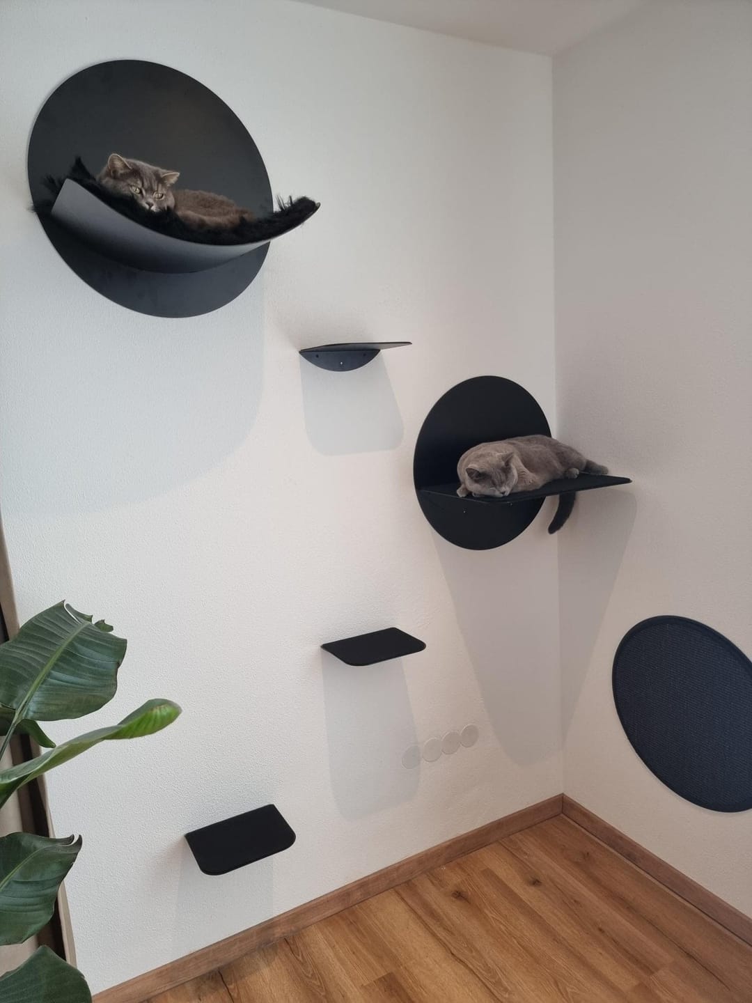 Customer photo review of STYA Katzen Kletterwand | Kratzbrett KF130