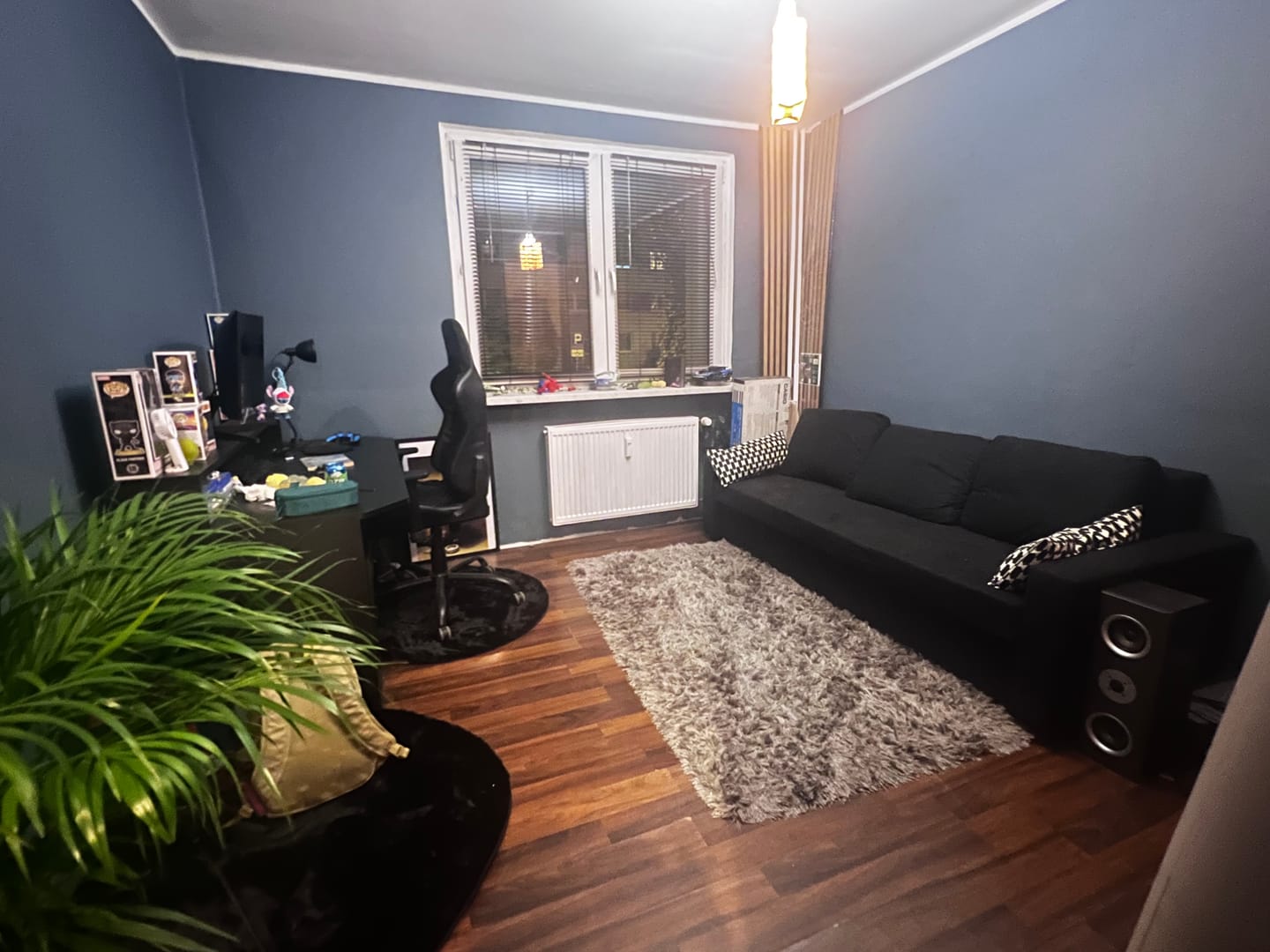 Customer photo review of Kanapa NEO BP mikro
