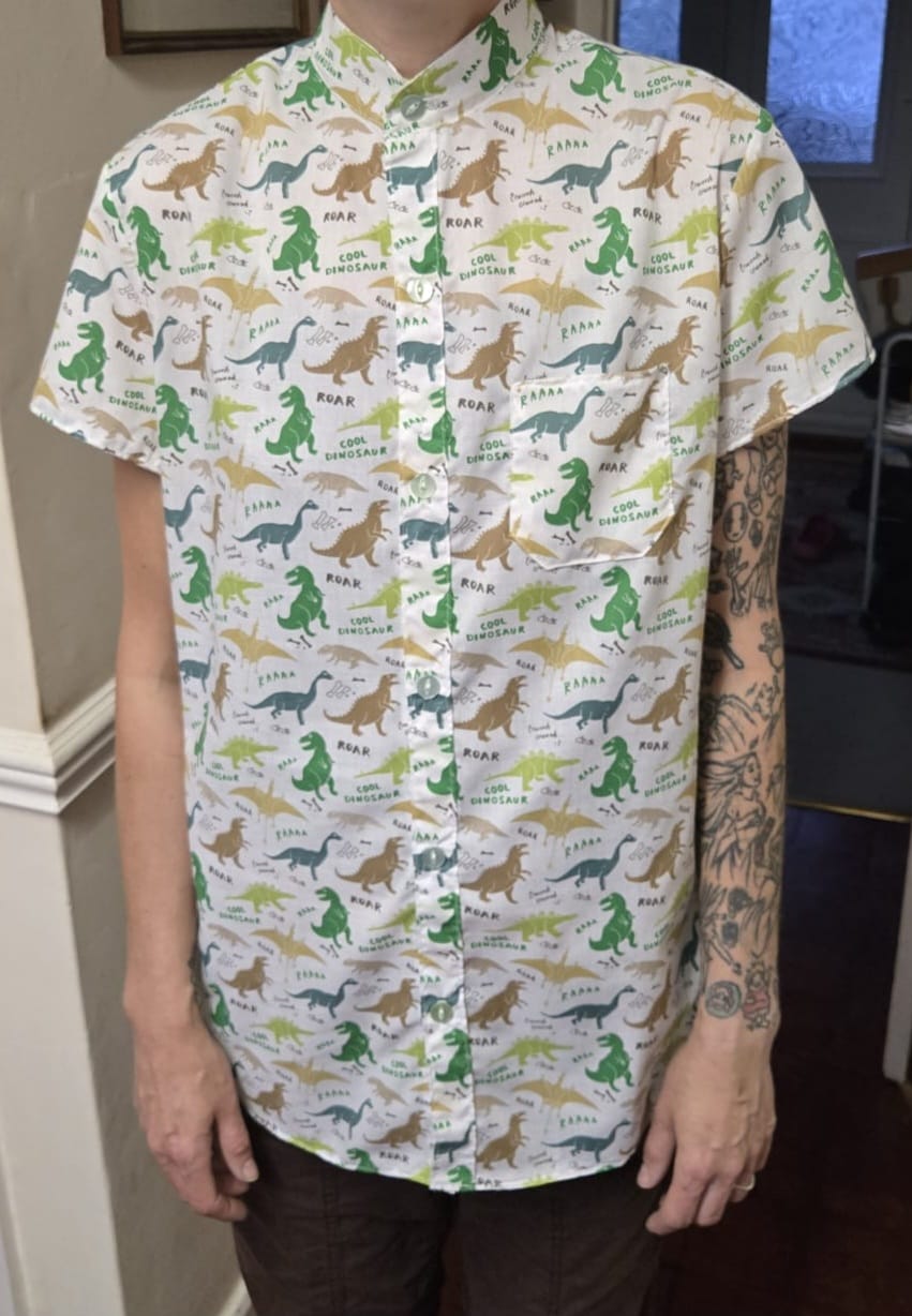 Customer photo review of Cool Dinosaurs Polycotton Fabric