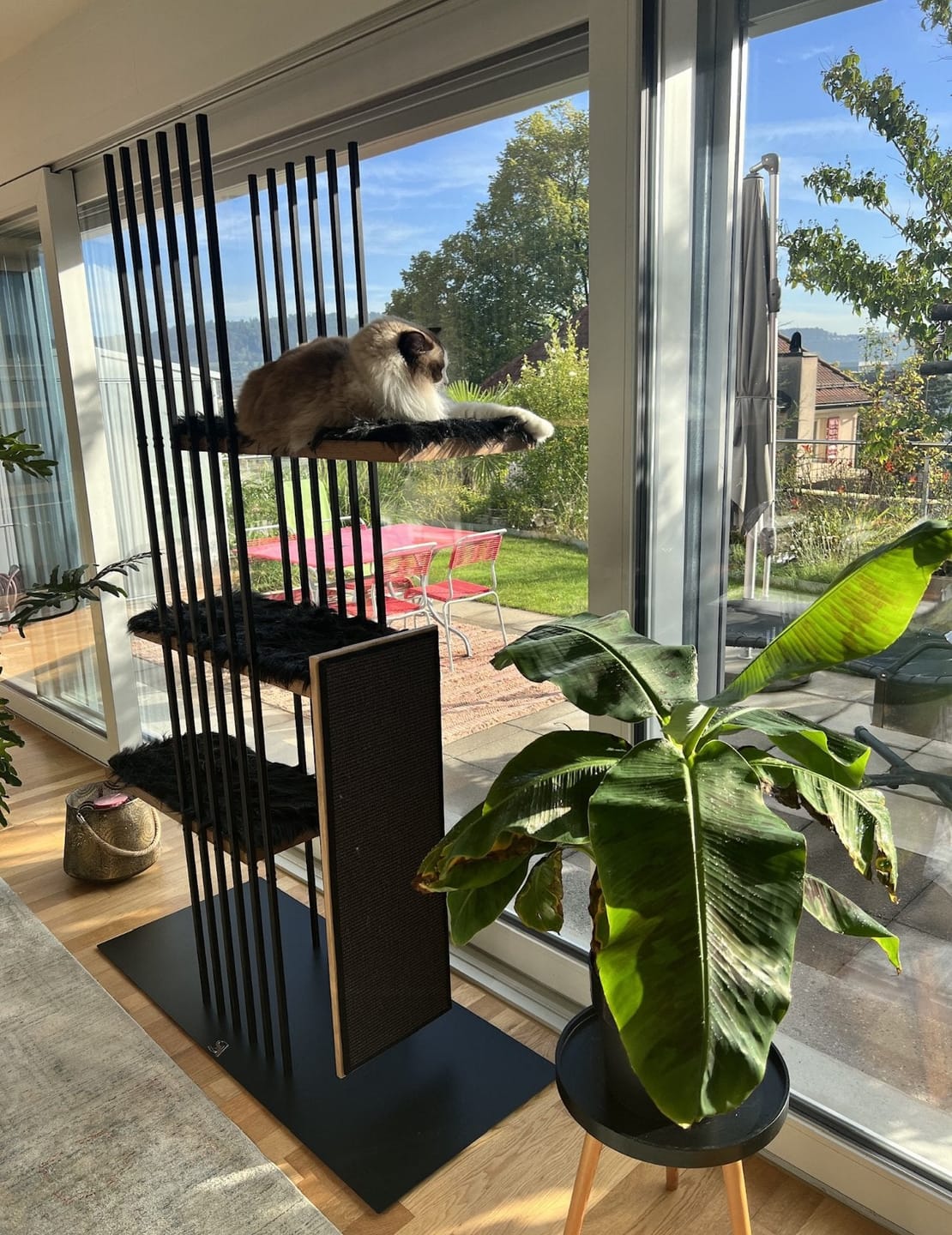 Customer photo review of STYA Katzen Kratzbaum MS220