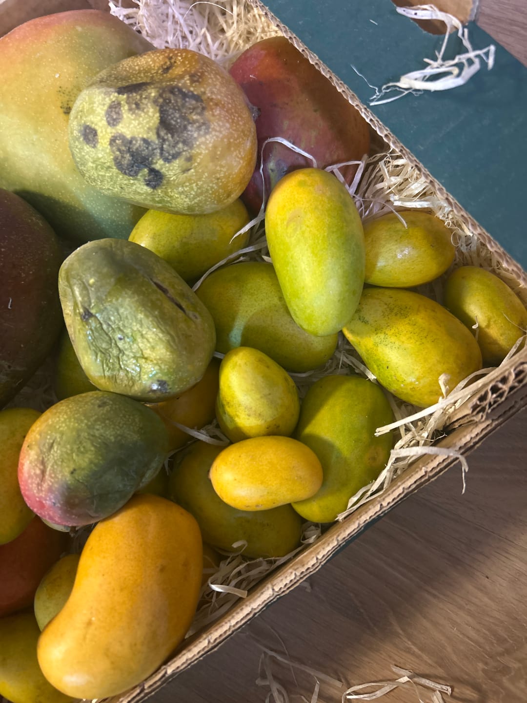 Customer photo review of Mini-Mango von Juan 3kg Retterbox %
