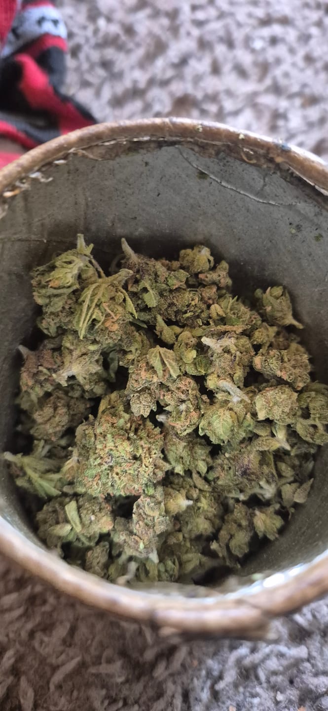 Customer photo review of LITTLES BRAND - Black Cherry Runtz - 28 Grams Littles - Indica