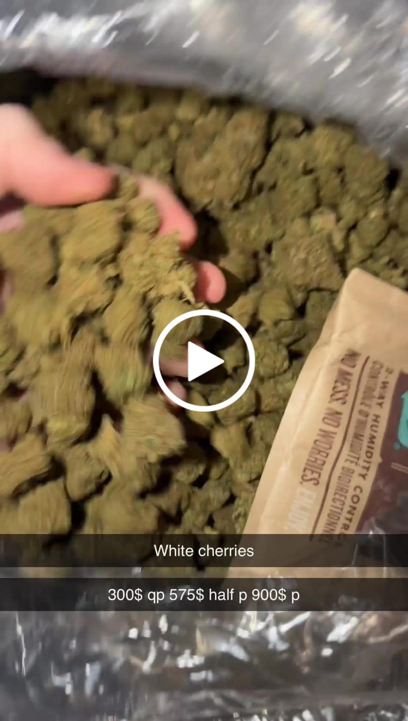 Customer video review of Mixed Light THCA Flower