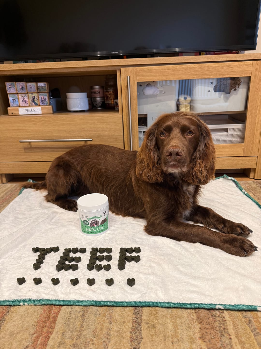 Customer photo review of Dental Care Supplement Chews for Dogs