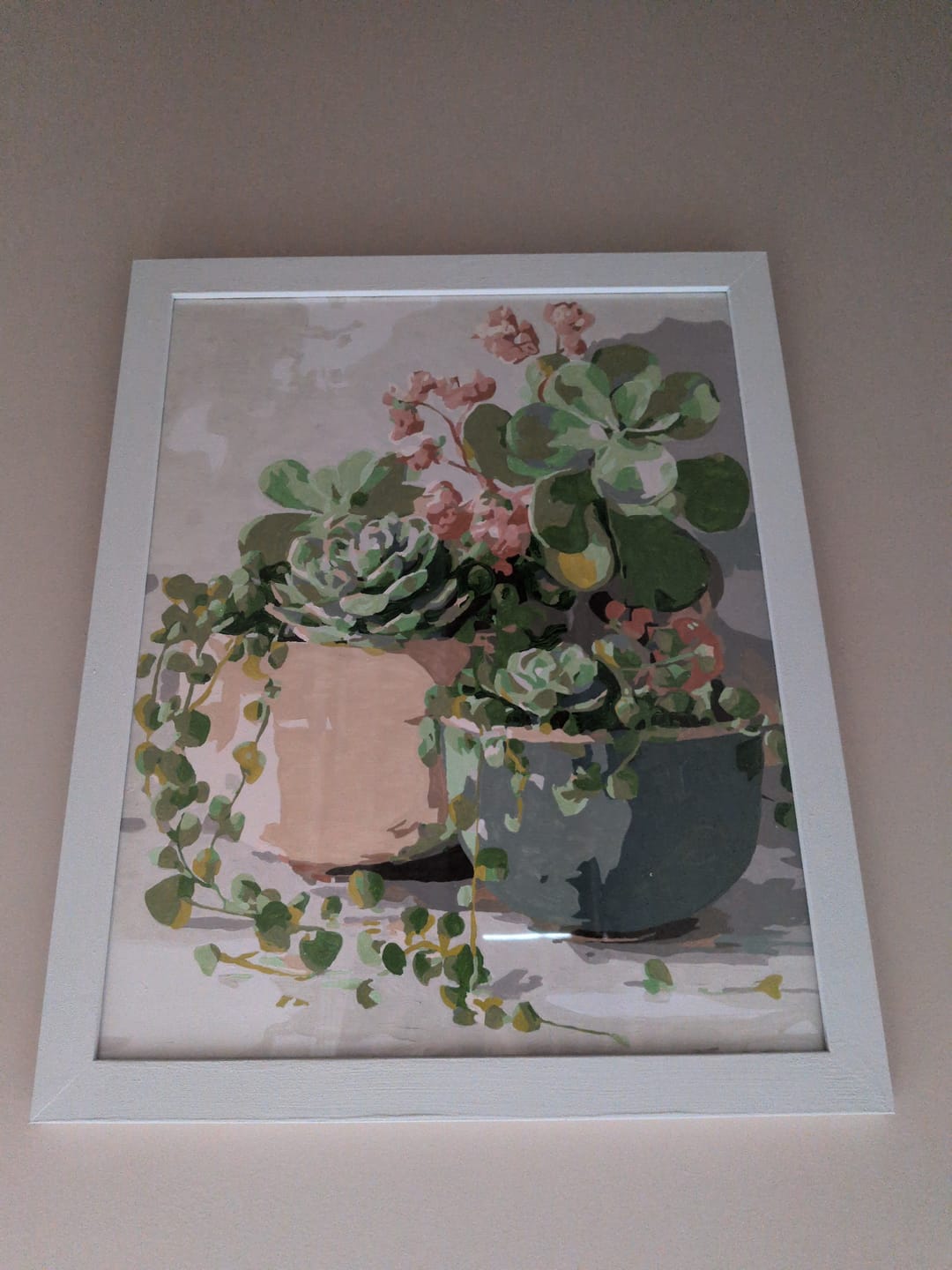 Customer photo review of Spring Succulents | Paint by Number