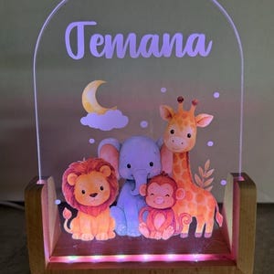 Customer photo review of Personalized LED Night Light