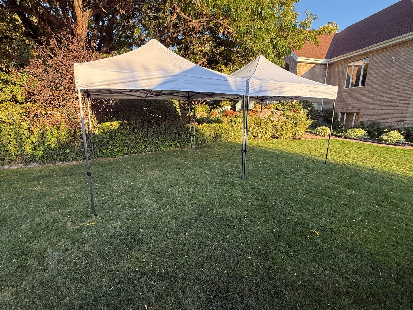 Customer photo review of S1 Nova Base® - Lite Commercial Pop Up Canopy Tent