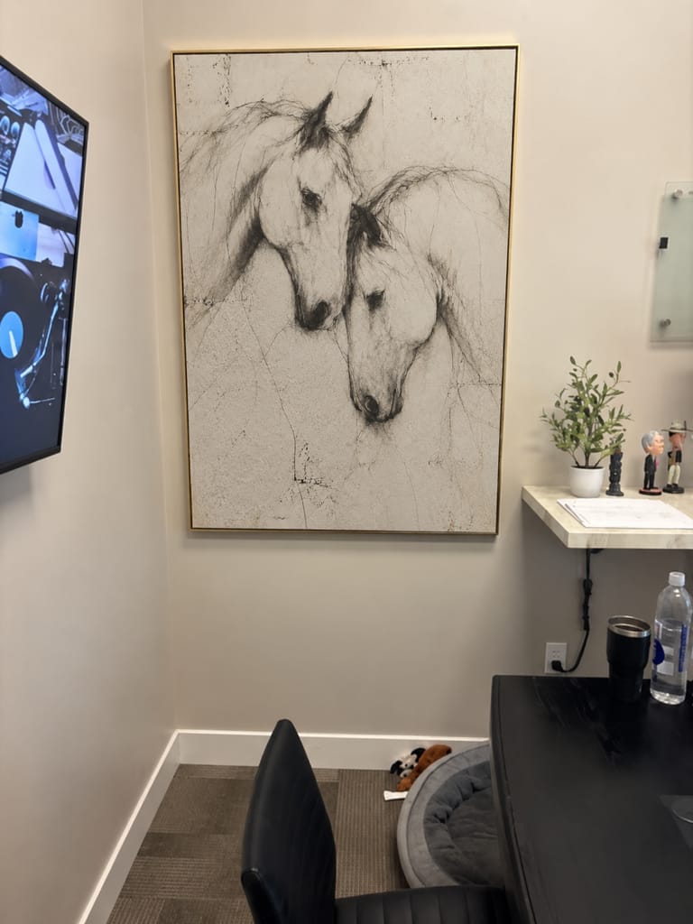 Recensione fotografica del cliente di Arte Minimalista AEKP