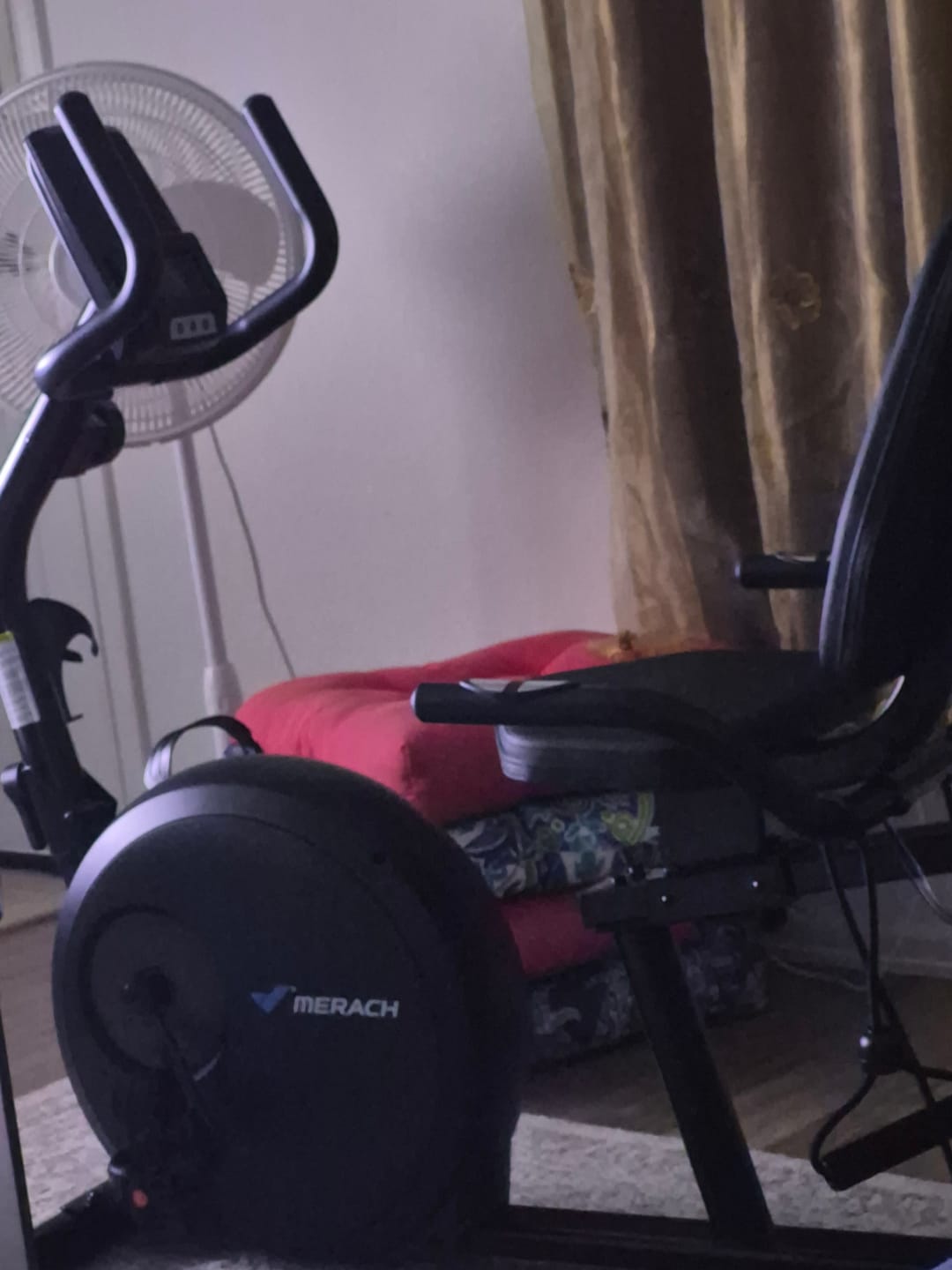 Customer photo review of S23 Recumbent Bike With Resistance Bands