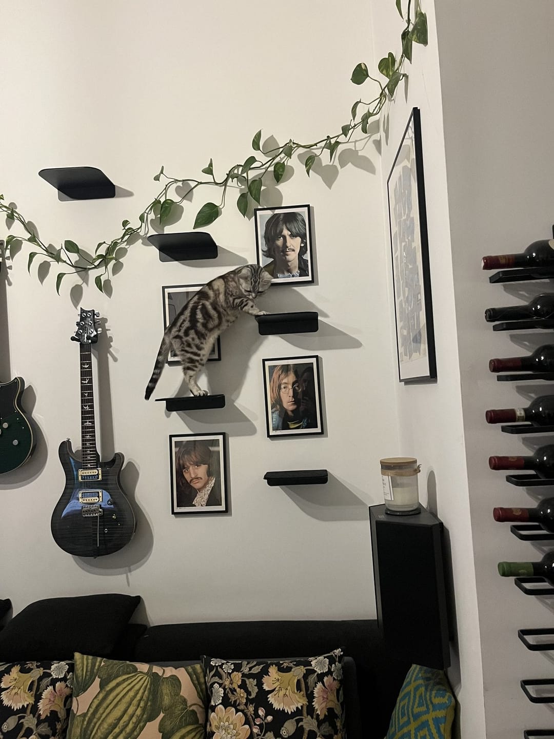 Customer photo review of STYA Katzen Kletterwand | Katzen Treppe WL340 | Mit 3 Stufen