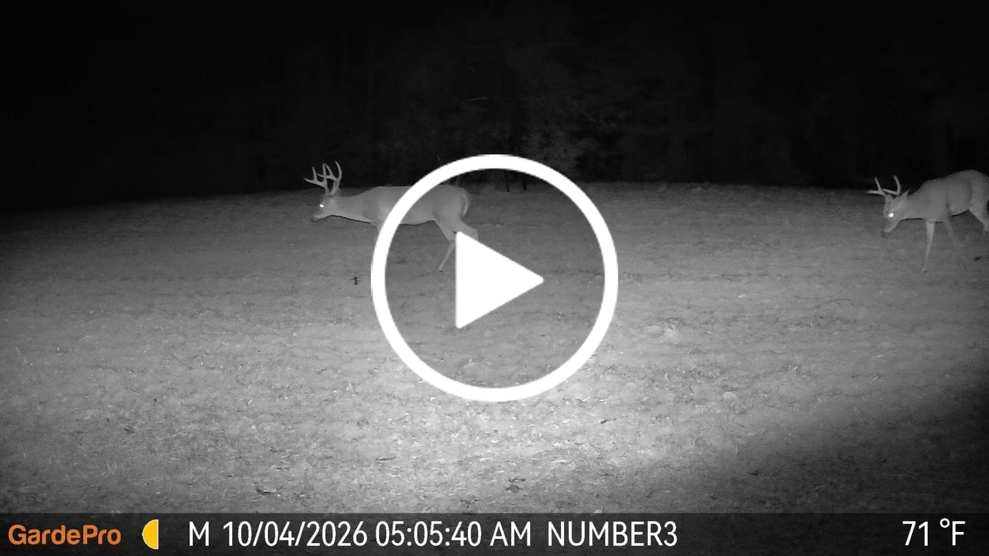 Customer video review of GardePro X60P Live Max Cellular Trail Camera