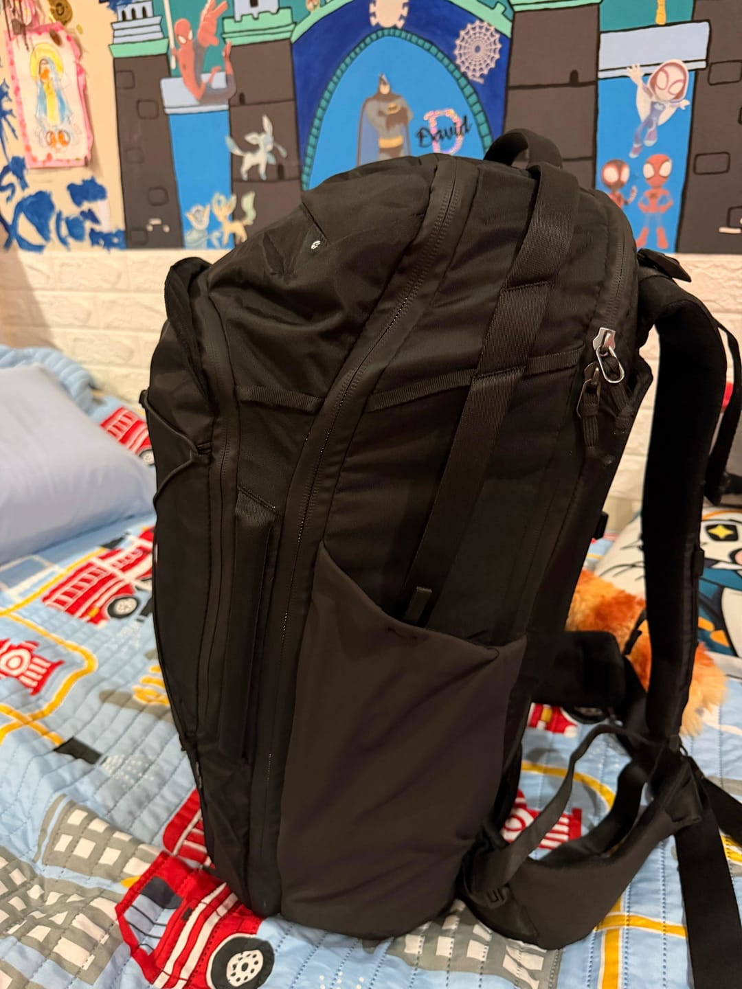 Customer photo review of 45L Global Travel Pack