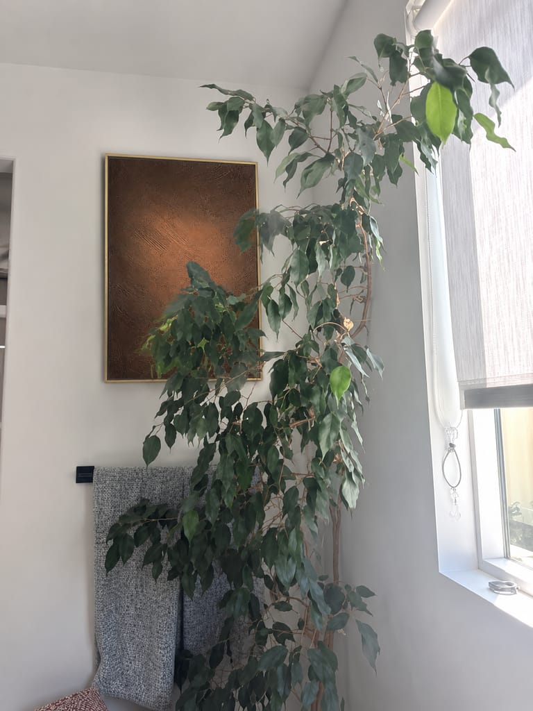 Revue photo des clients de Wabi-Sabi Art ZKLS