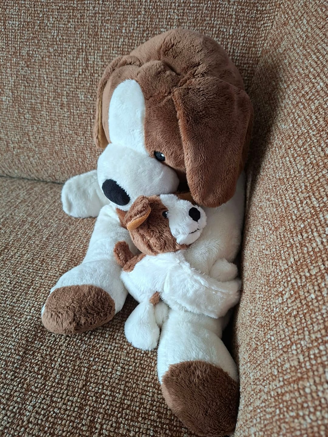 Customer photo review of Mini Lotgenootje Hond
