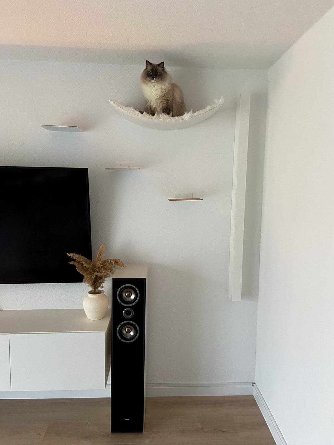 Customer photo review of STYA Katzen Kletterwand | XXL Hängematte WL170