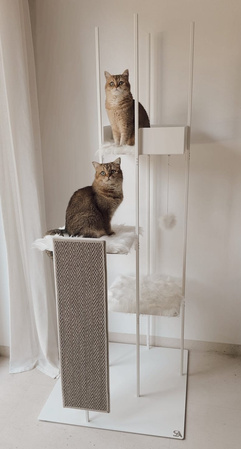 Customer photo review of STYA Katzen Kratzbaum MS310