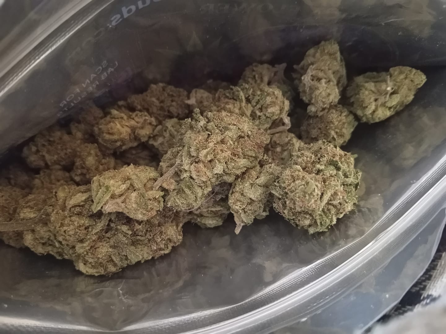 Customer photo review of Big League Choo THCA Flower