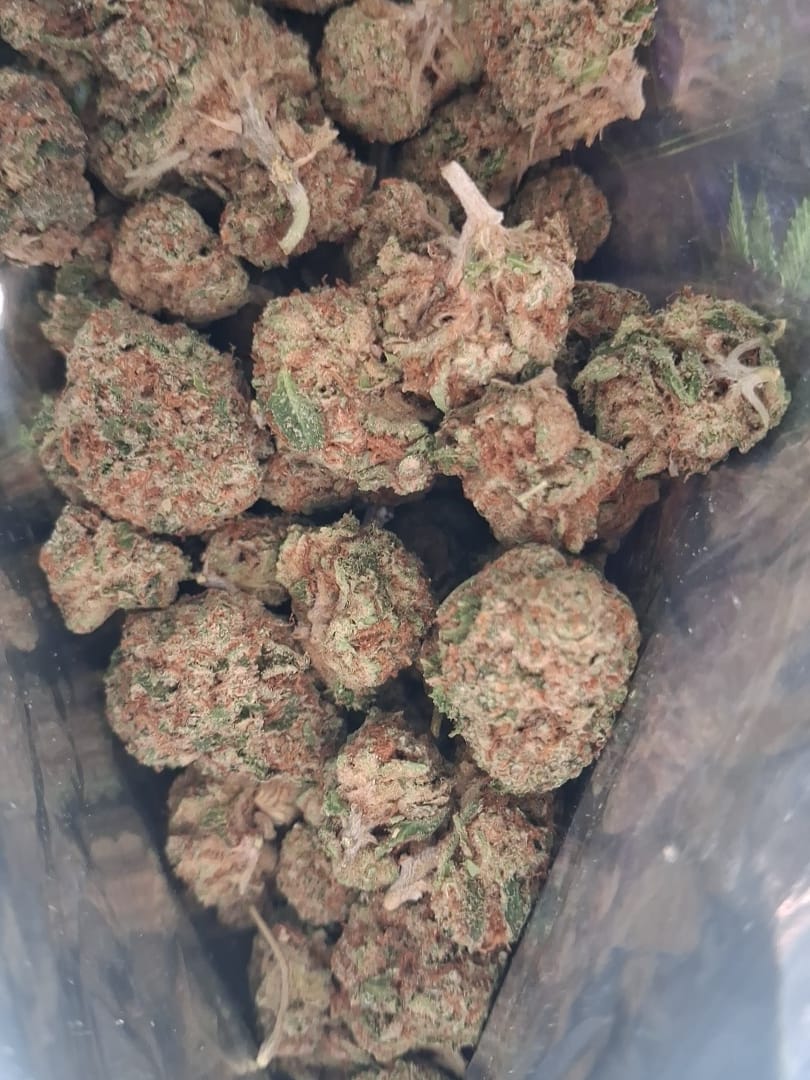 Customer photo review of Gorilla Glue THCA Flower