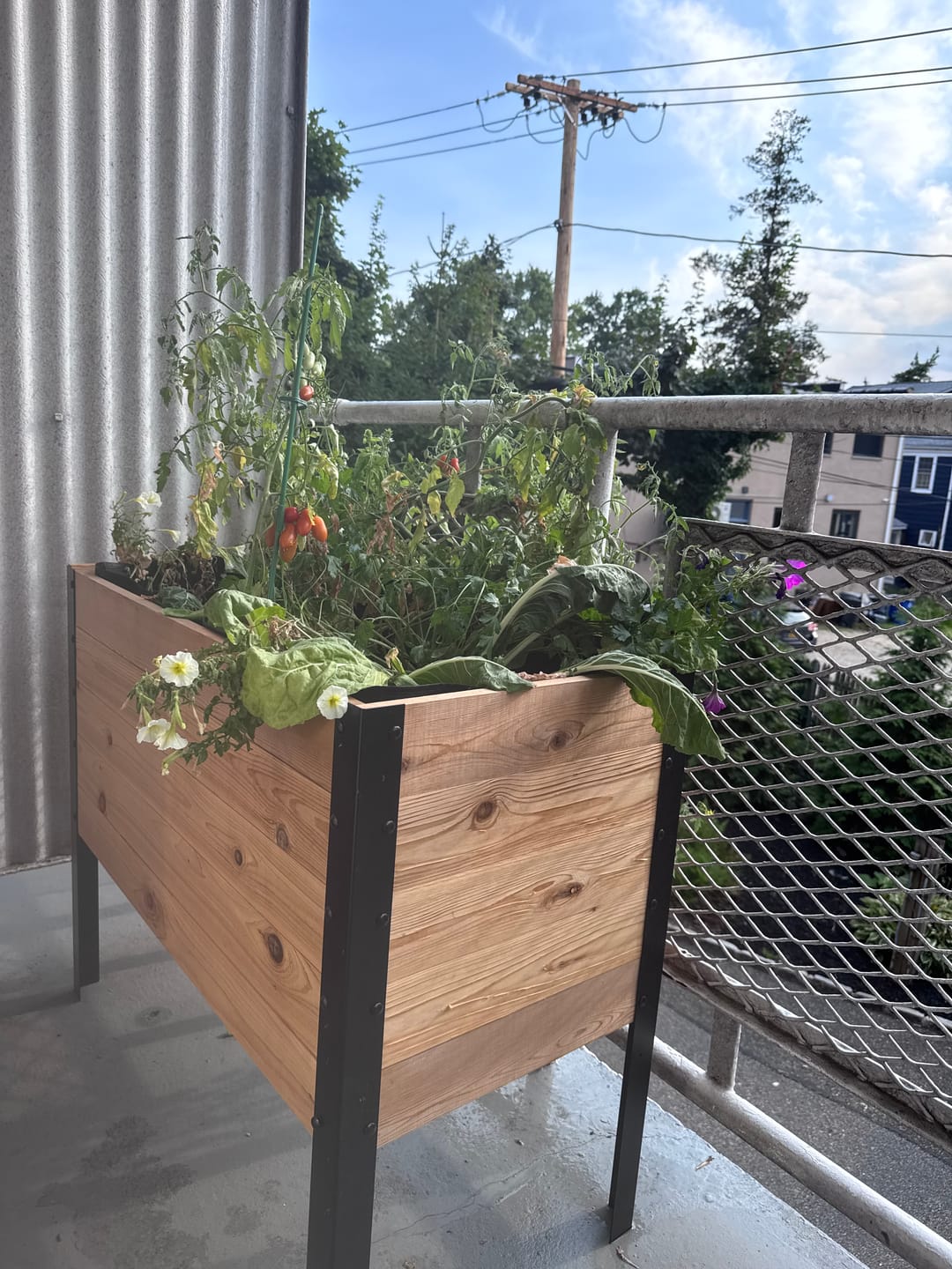 Customer photo review of 18″ x 48″ Deep Root Raised Garden Bed - 30″ TALL - Select Grade