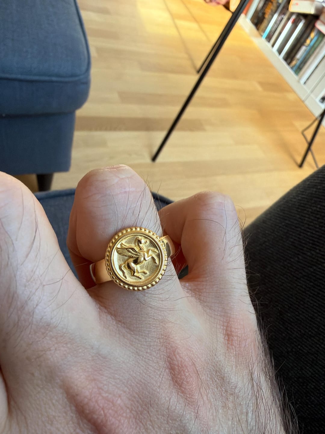 Customer photo review of Pegasus Coin Ring