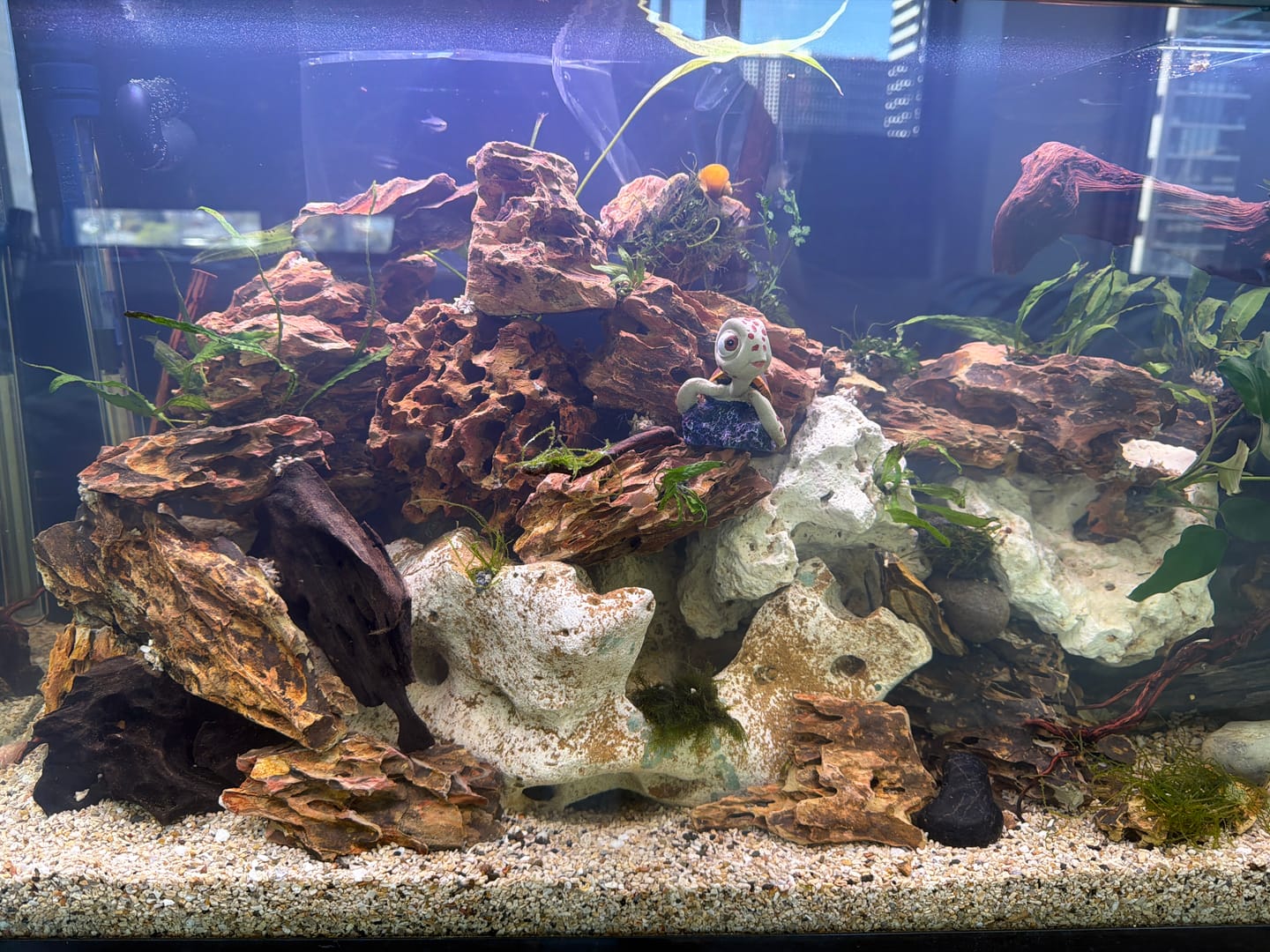 Customer photo review of Dragon Stone (per Kg)