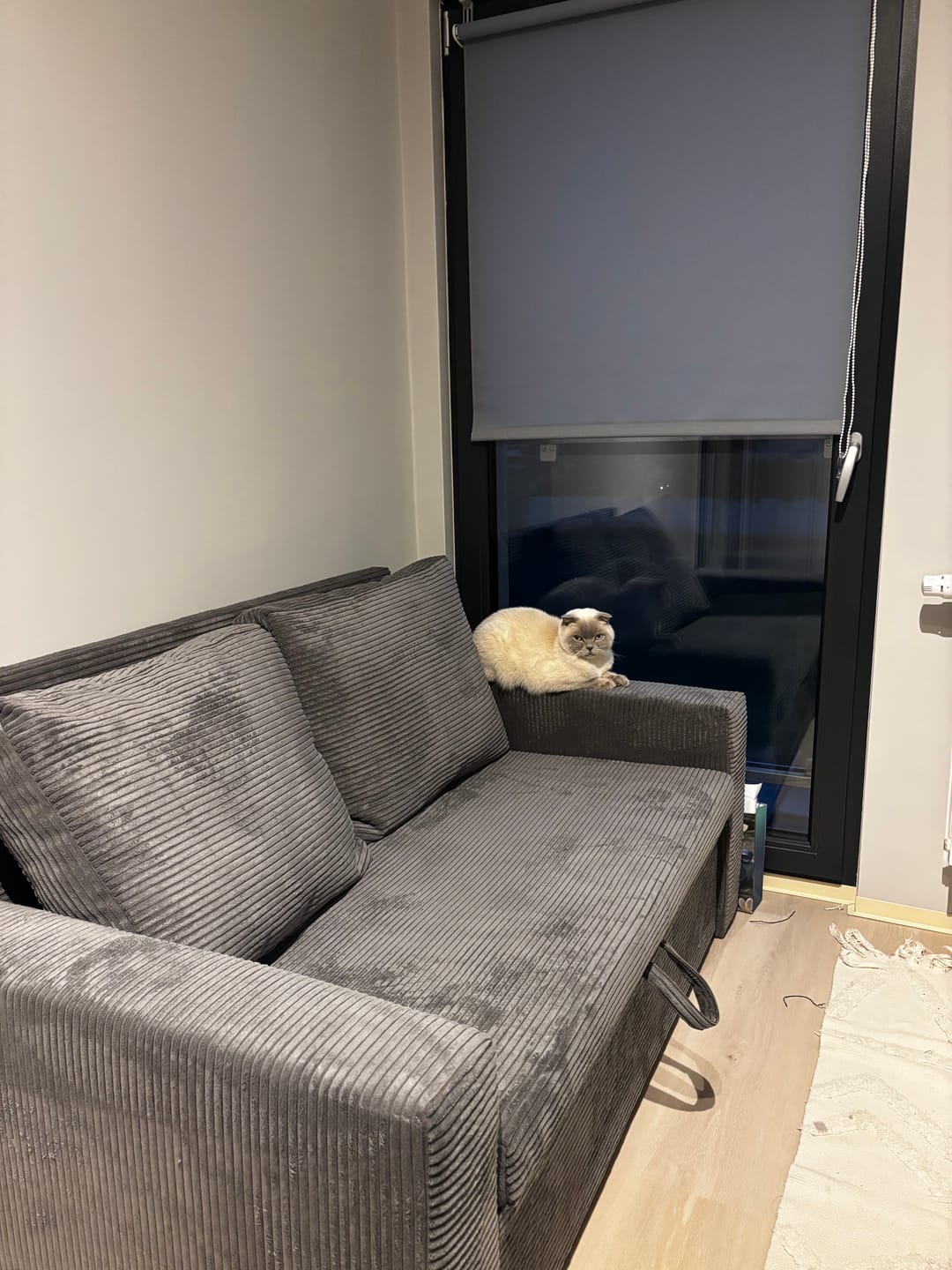 Customer photo review of Sofa NEO BP sztruks