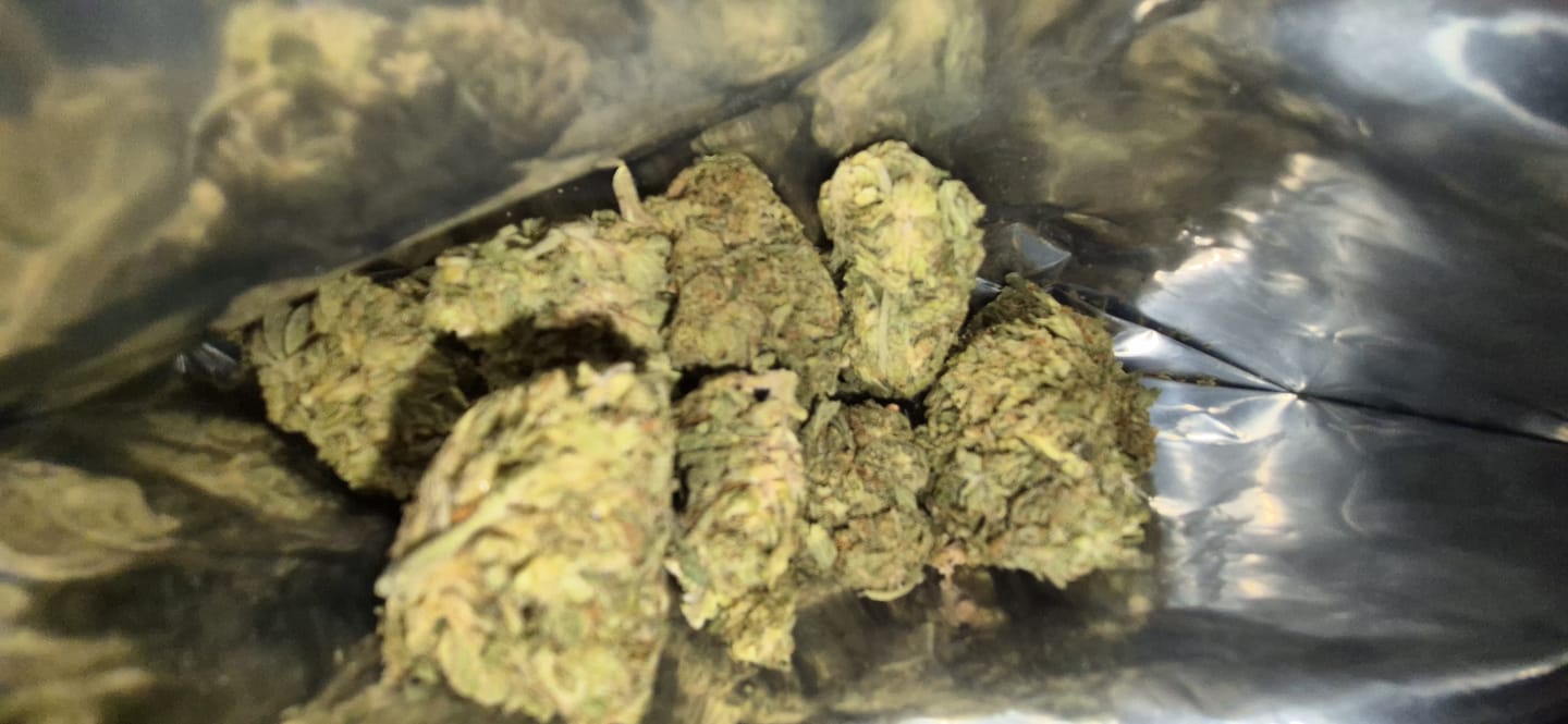 Customer photo review of Khalifa Kush THCA Flower