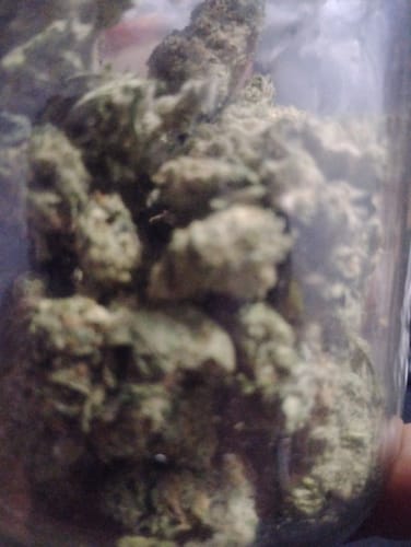 Customer photo review of Airheadz THCA Flower