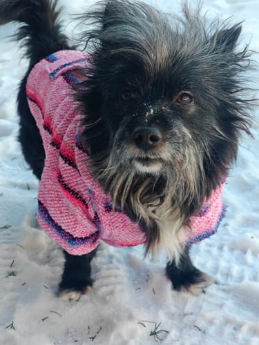 Customer photo review of Free & Easy Return or Exchange Coverage + Package Protection