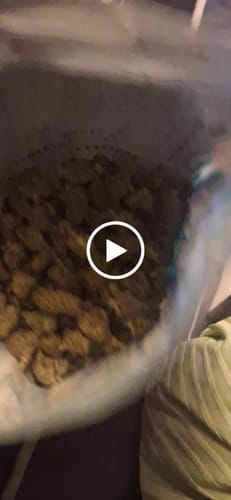 Customer video review of AK-47 - Value Indoor Smalls