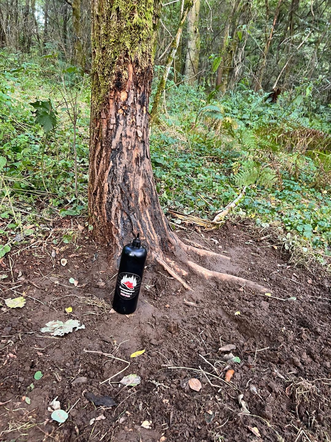 Customer photo review of Teer-Plus Wildlockmittel - Schwarzwild
