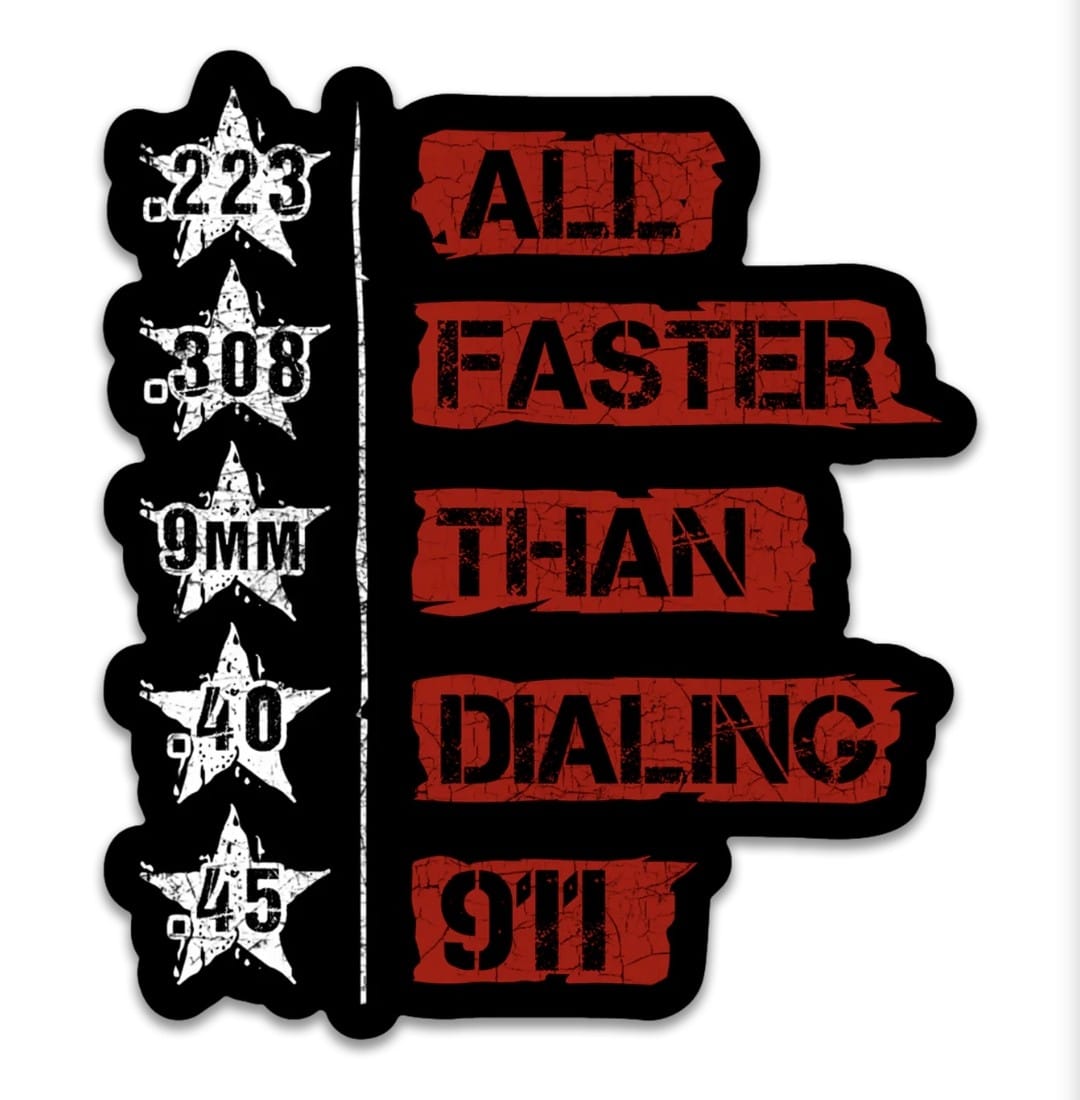 Customer photo review of All Faster than 911 Decal