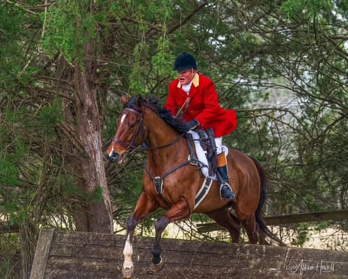 Customer photo review of Wrinkle-resistant - Band Collar - Cotton-Lycra Shirt - Long Sleeve - White