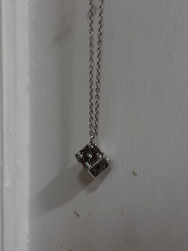 Customer photo review of Collar "Gokumonkyo"