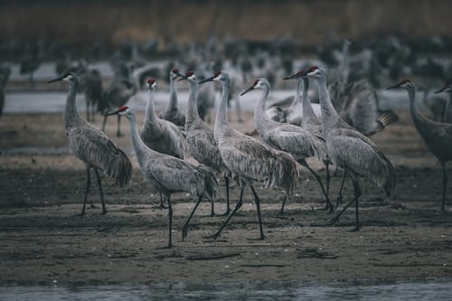 Customer photo review of Dark Woods Lightroom Presets Pack