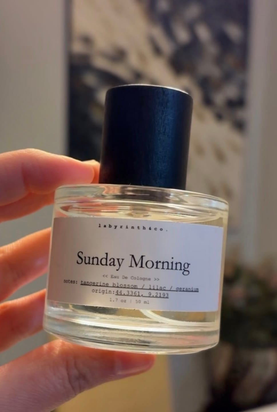 Customer photo review of Sunday Morning
