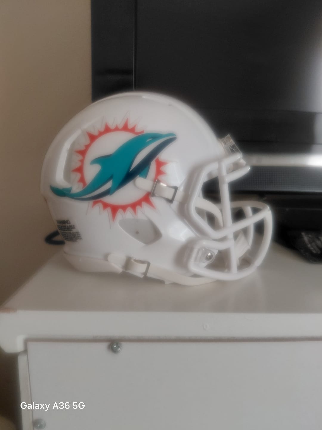 Customer photo review of Miami Dolphins Riddell Speed Mini Helmet