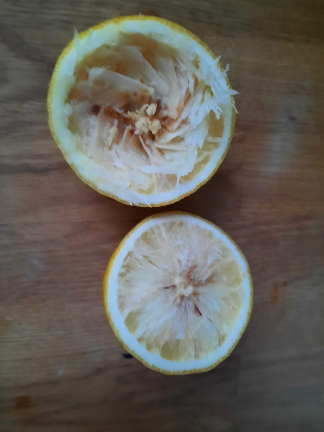 Customer photo review of Bergamotten Bio von Familie Bilardi Kalabrien