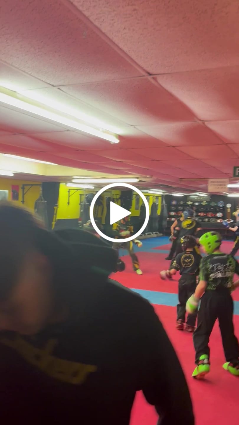 Customer video review of TOP TEN Avantgarde Head Guard
