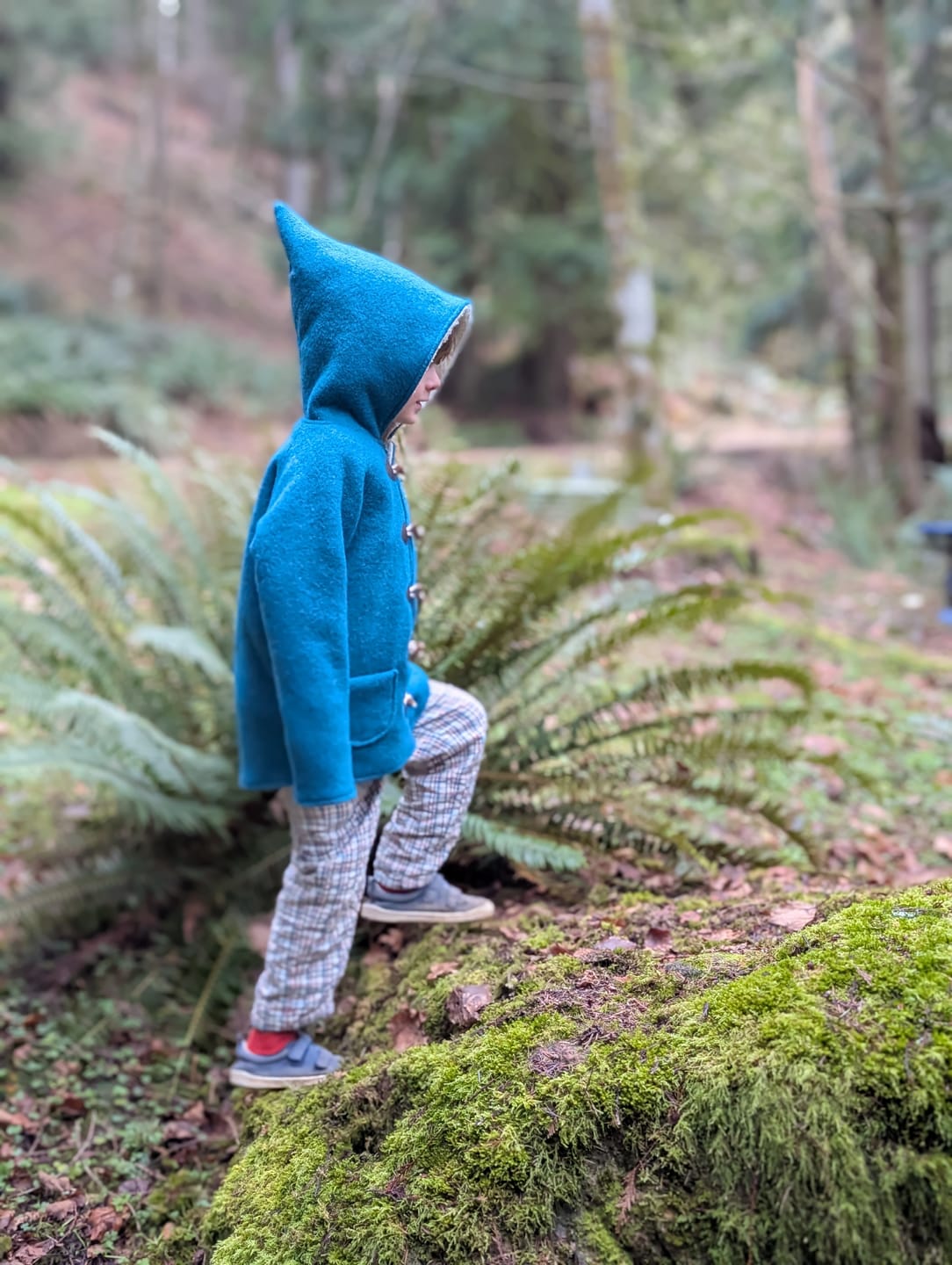Customer photo review of Checked Seersucker Reversible Pull On Trousers