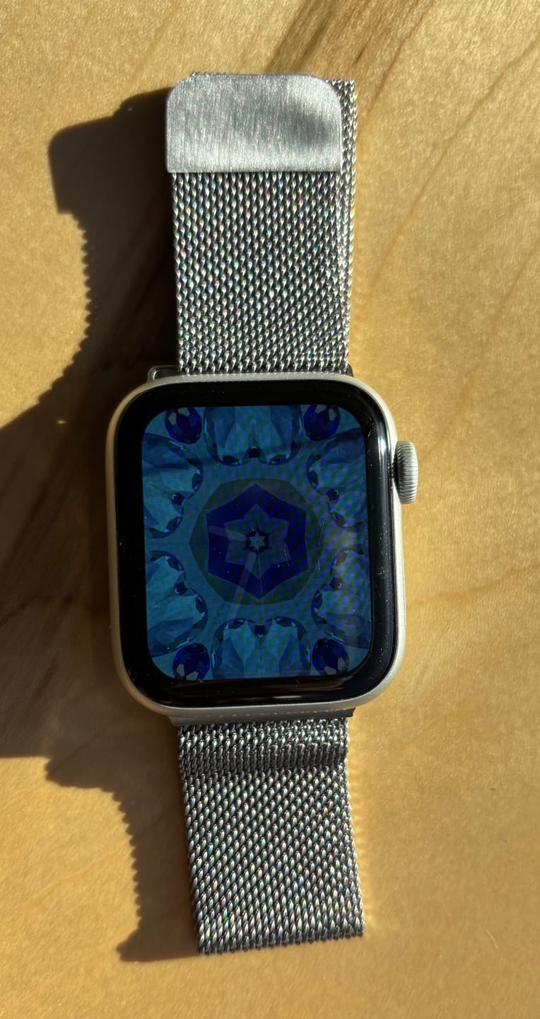 Customer photo review of Apple Watch Stainless Steel Strap - Premium Milanese Band